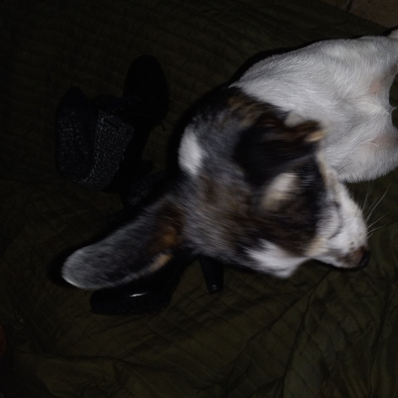 Shoes size - Picture 3 of 3